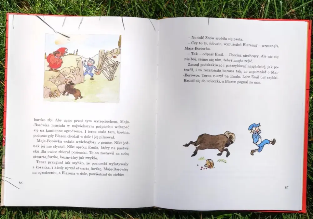 Shirley z Powieści - Jaką postać literacką przedstawia?